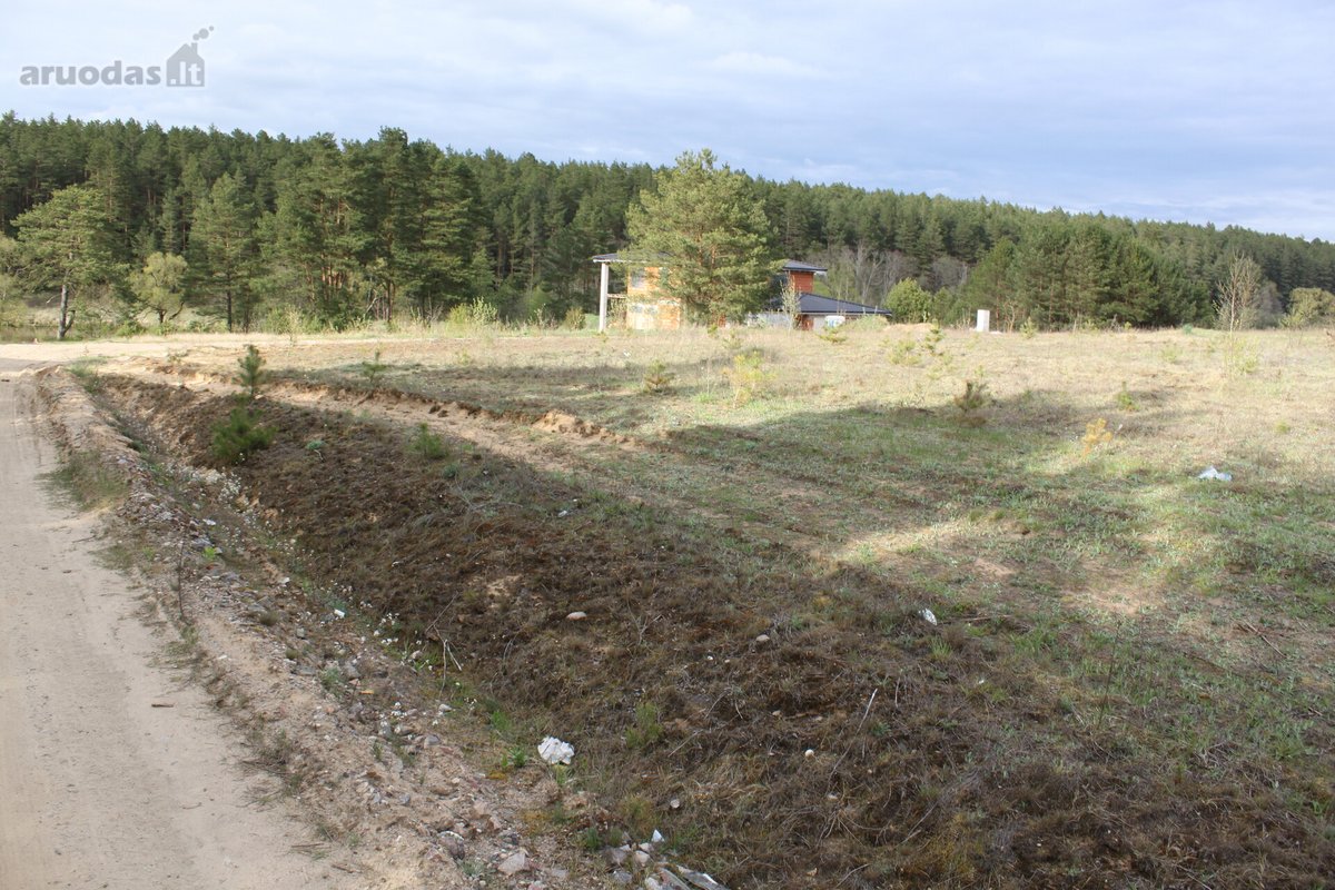 Vaizdingoje ir ramioje vietovėjė prie Neries - nuotraukos Nr. 17