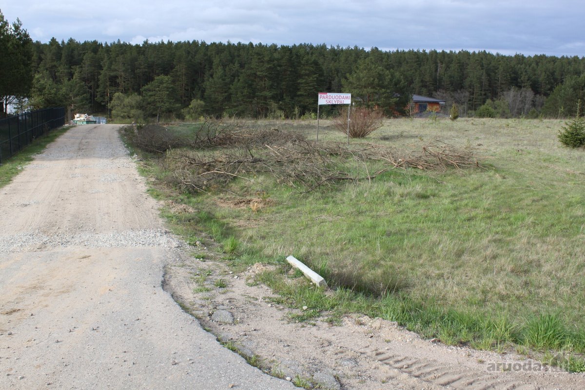 Vaizdingoje ir ramioje vietovėjė prie Neries - nuotraukos Nr. 19