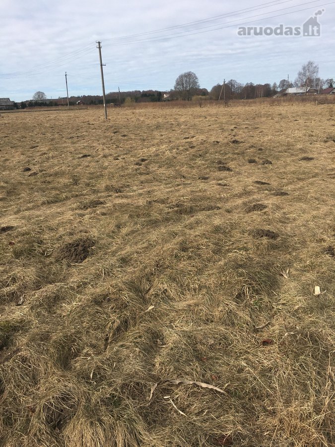 Parduodami sklypai vienbučiu dvibučiu namu - nuotraukos Nr. 10