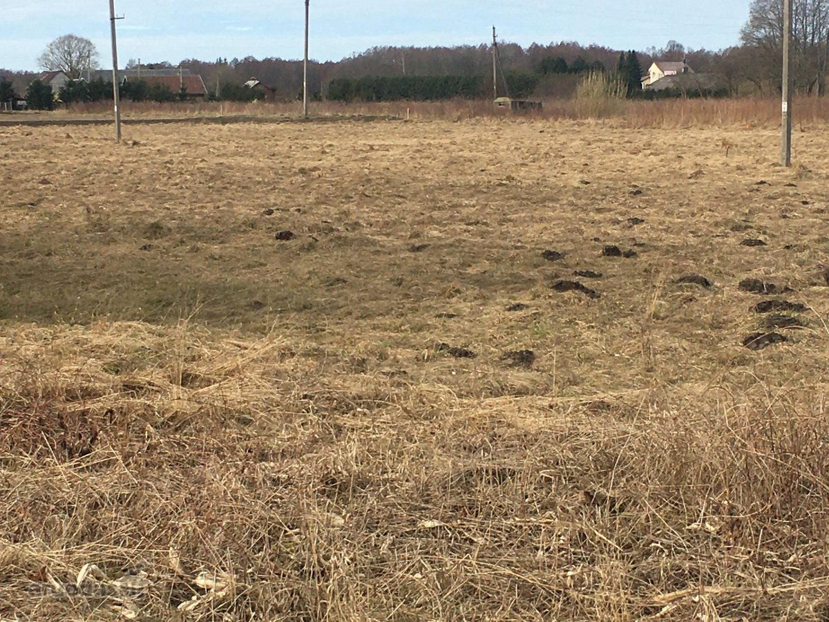 Parduodami sklypai vienbučiu dvibučiu namu - nuotraukos Nr. 12