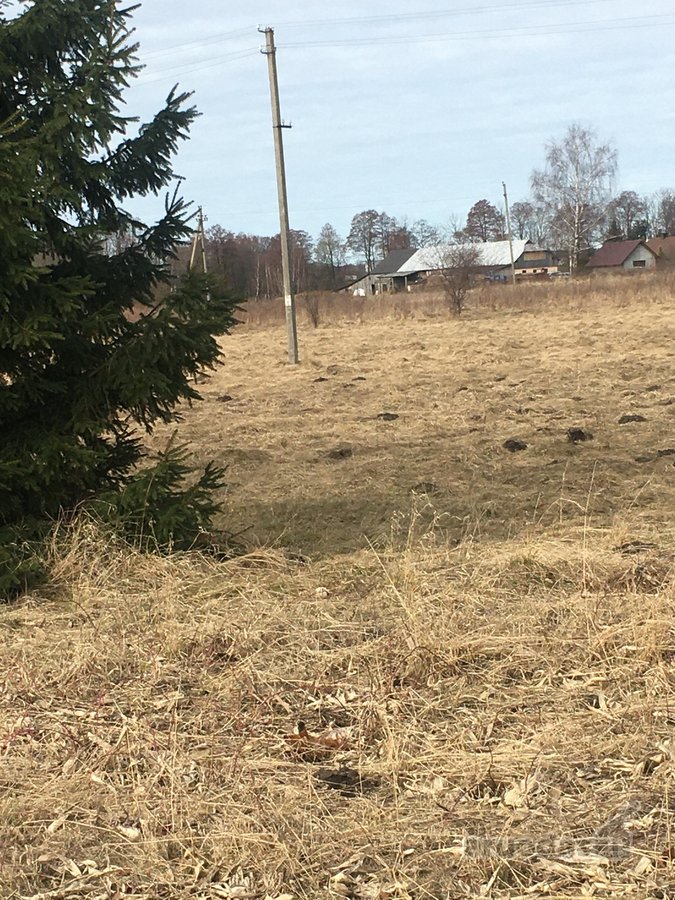 Parduodami sklypai vienbučiu dvibučiu namu - nuotraukos Nr. 14