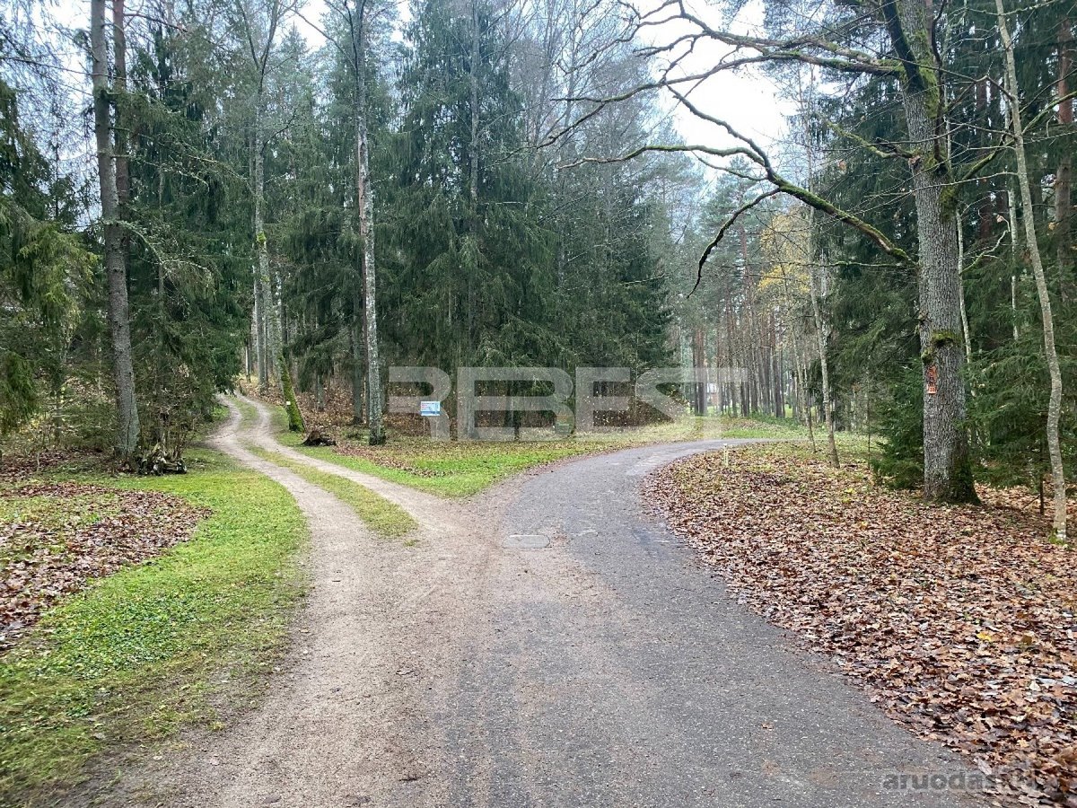 Parduodamas 61,64 arų plotos sklypas ypač - nuotraukos Nr. 3
