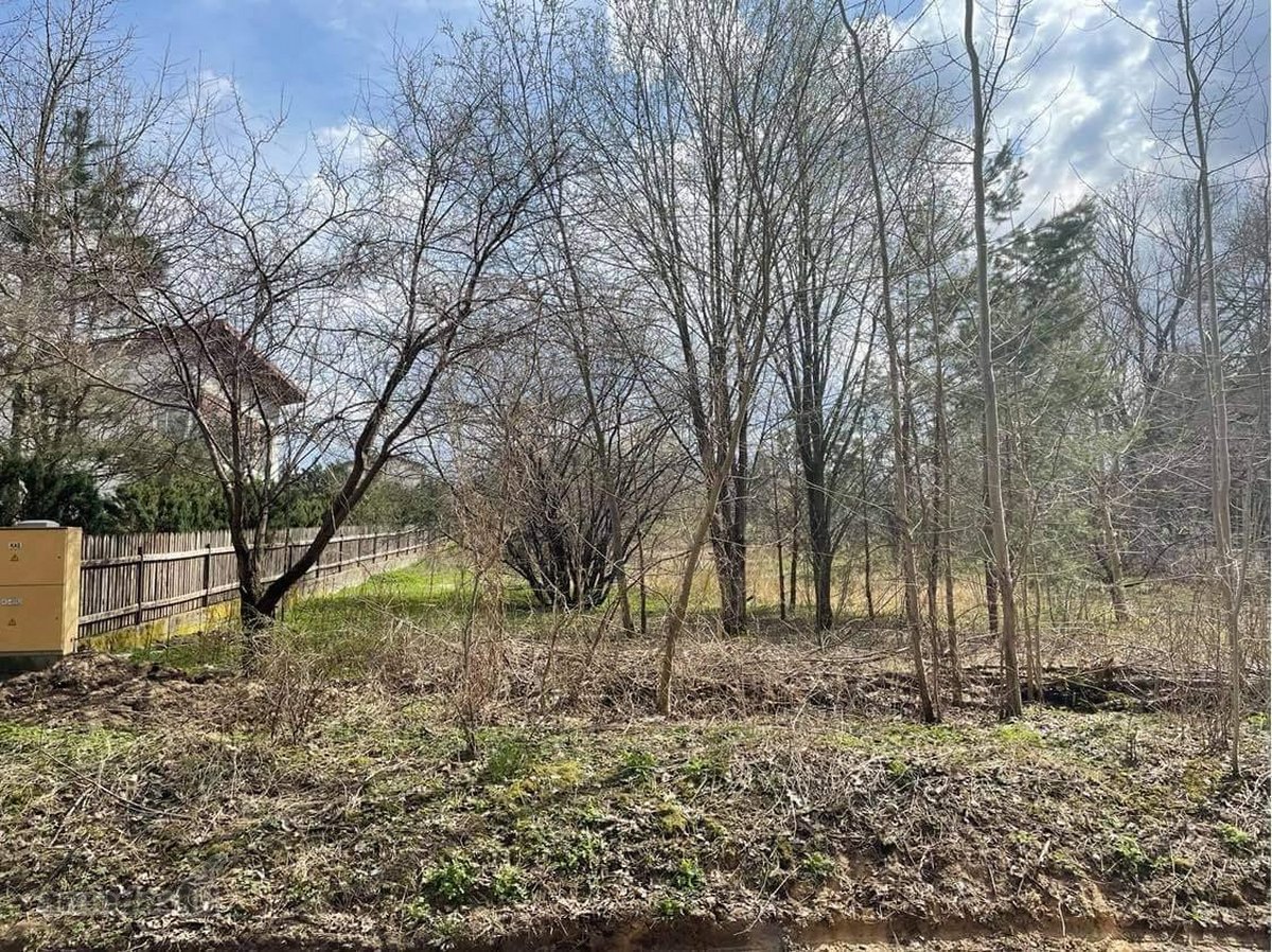 Antakalnyje, Pavilnių regioniniame parke - nuotraukos Nr. 11