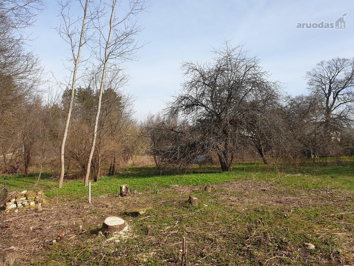 Antakalnyje, Pavilnių regioniniame parke - nuotraukos Nr. 12