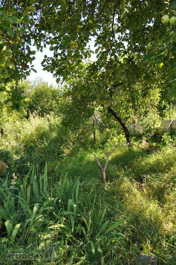 Parduodamas 3,8 a. sklypas Žaliakalnyje šalia - nuotraukos Nr. 3