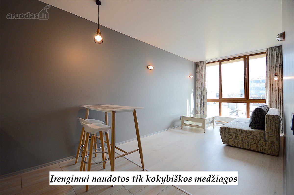 Nuomojamas Tvarkingas Studijos Tipo 1 - nuotraukos Nr. 5