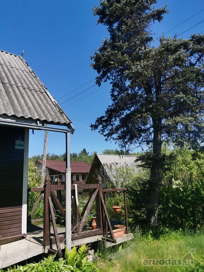 Parduodamas sodo sklypas 6 a su mediniu - nuotraukos Nr. 3