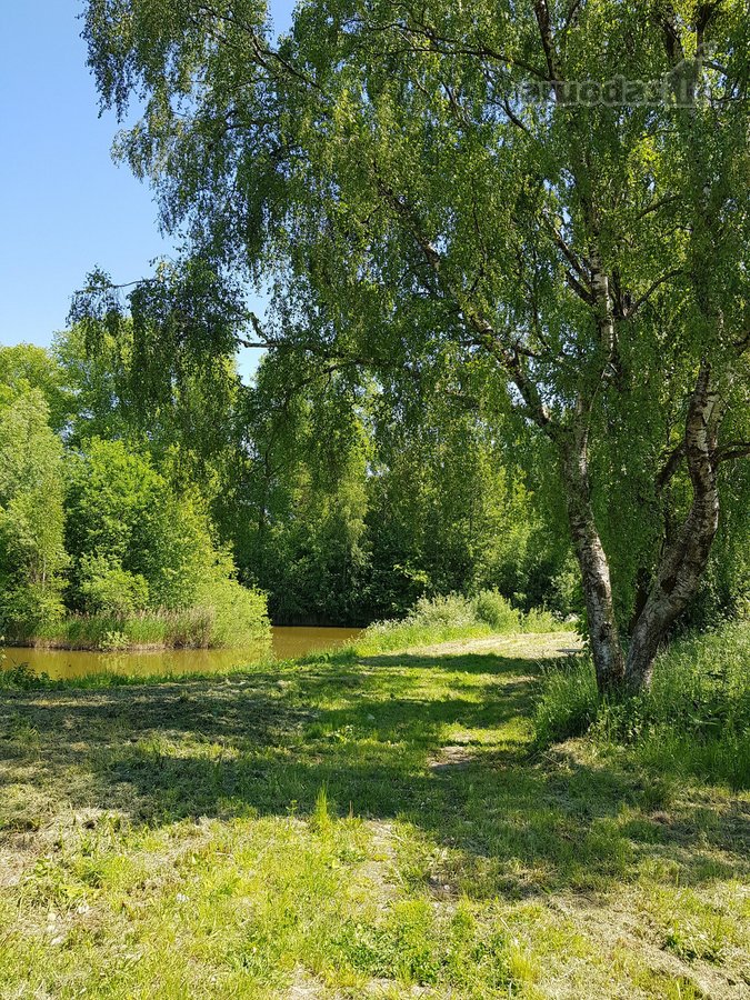 Parduodamas kitos paskirties (vienbučių ir - nuotraukos Nr. 7