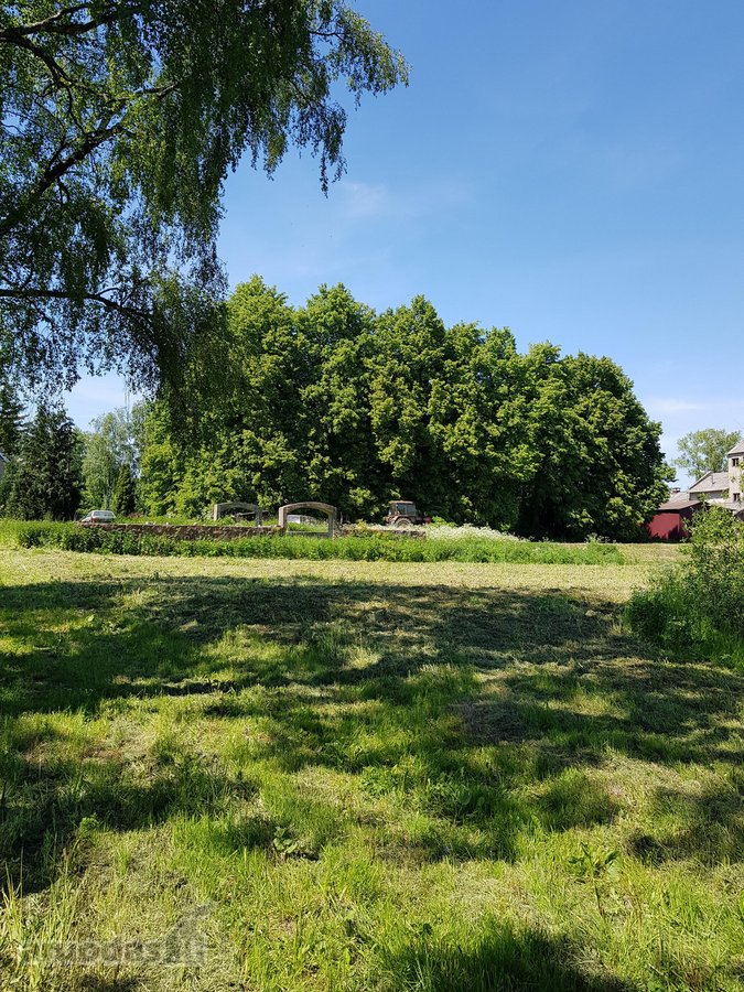 Parduodamas kitos paskirties (vienbučių ir - nuotraukos Nr. 16