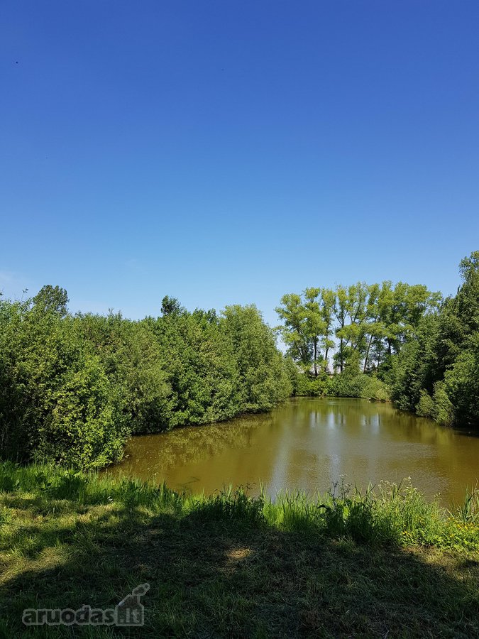 Parduodamas kitos paskirties (vienbučių ir - nuotraukos Nr. 10