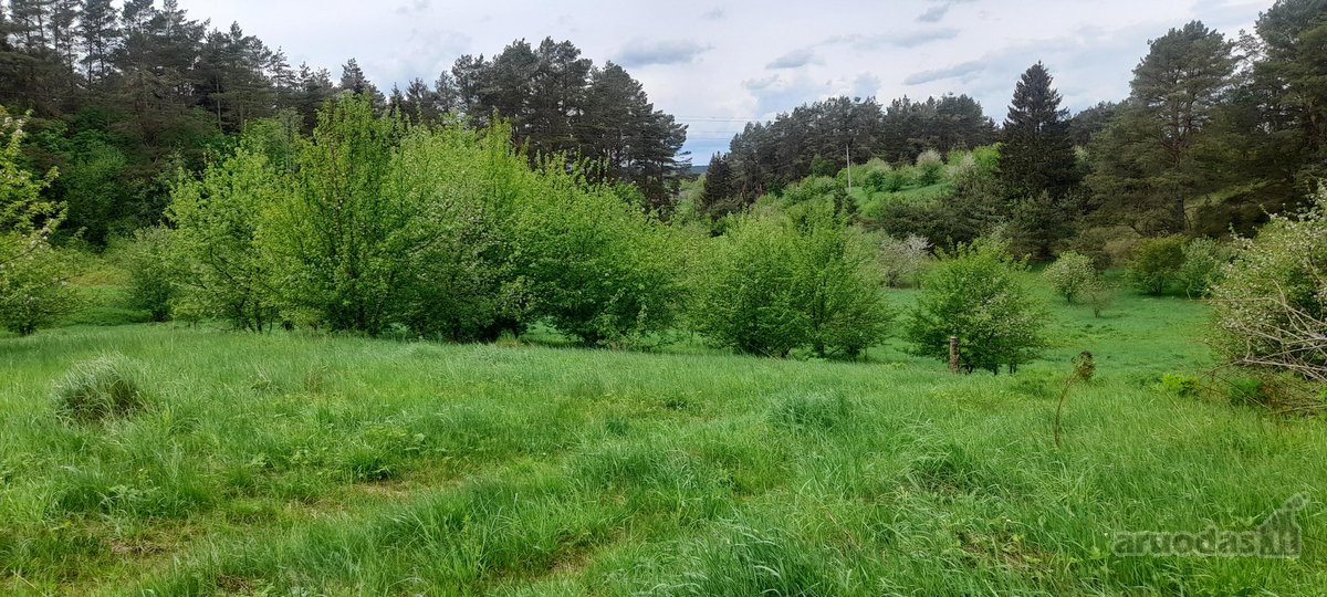 Parduodami du besiribojantys sklypai - nuotraukos Nr. 2