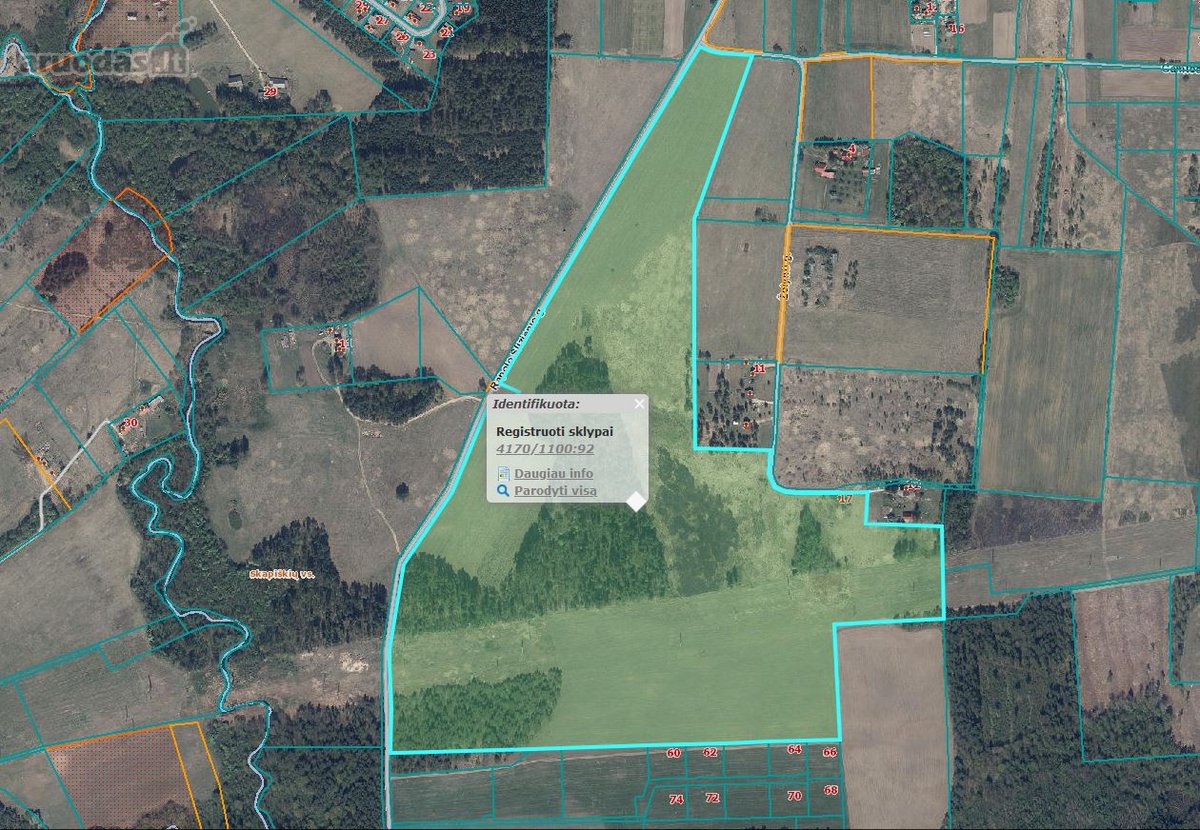 61,4757 Ha Žemės Sklypas Vilnaius R.sav., - nuotraukos Nr. 3