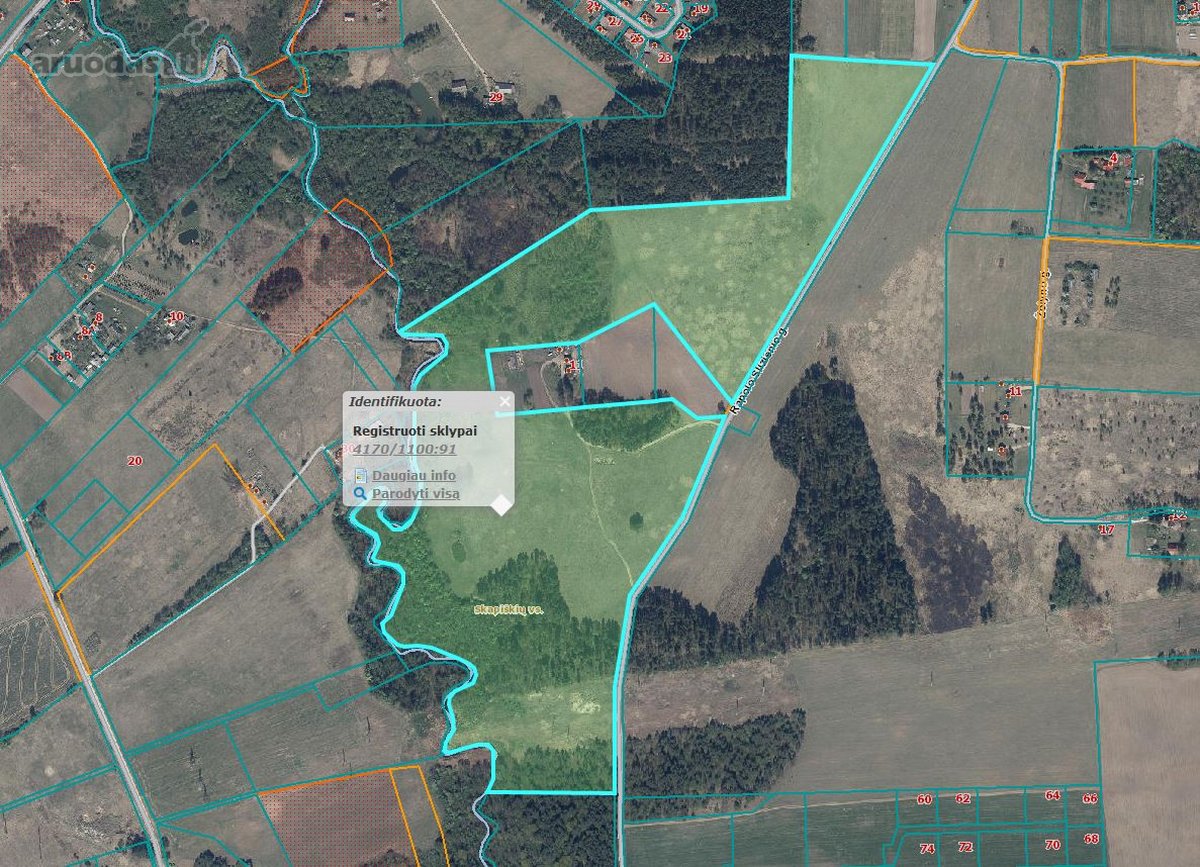 61,4757 Ha Žemės Sklypas Vilnaius R.sav., - nuotraukos Nr. 2