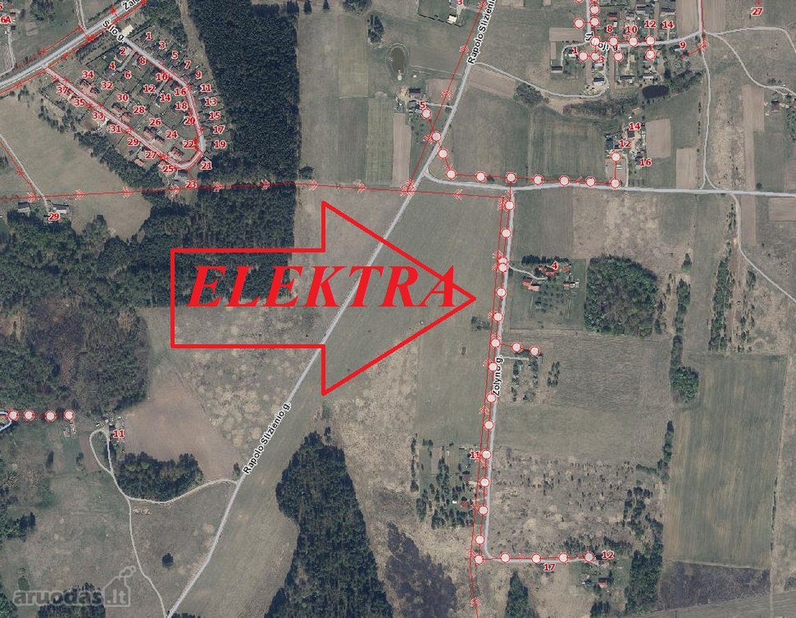 61,4757 Ha Žemės Sklypas Vilnaius R.sav., - nuotraukos Nr. 10