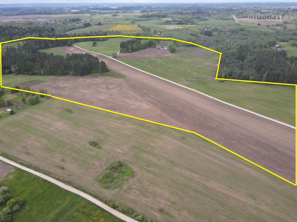 61,4757 Ha Žemės Sklypas Vilnaius R.sav., - nuotraukos Nr. 4