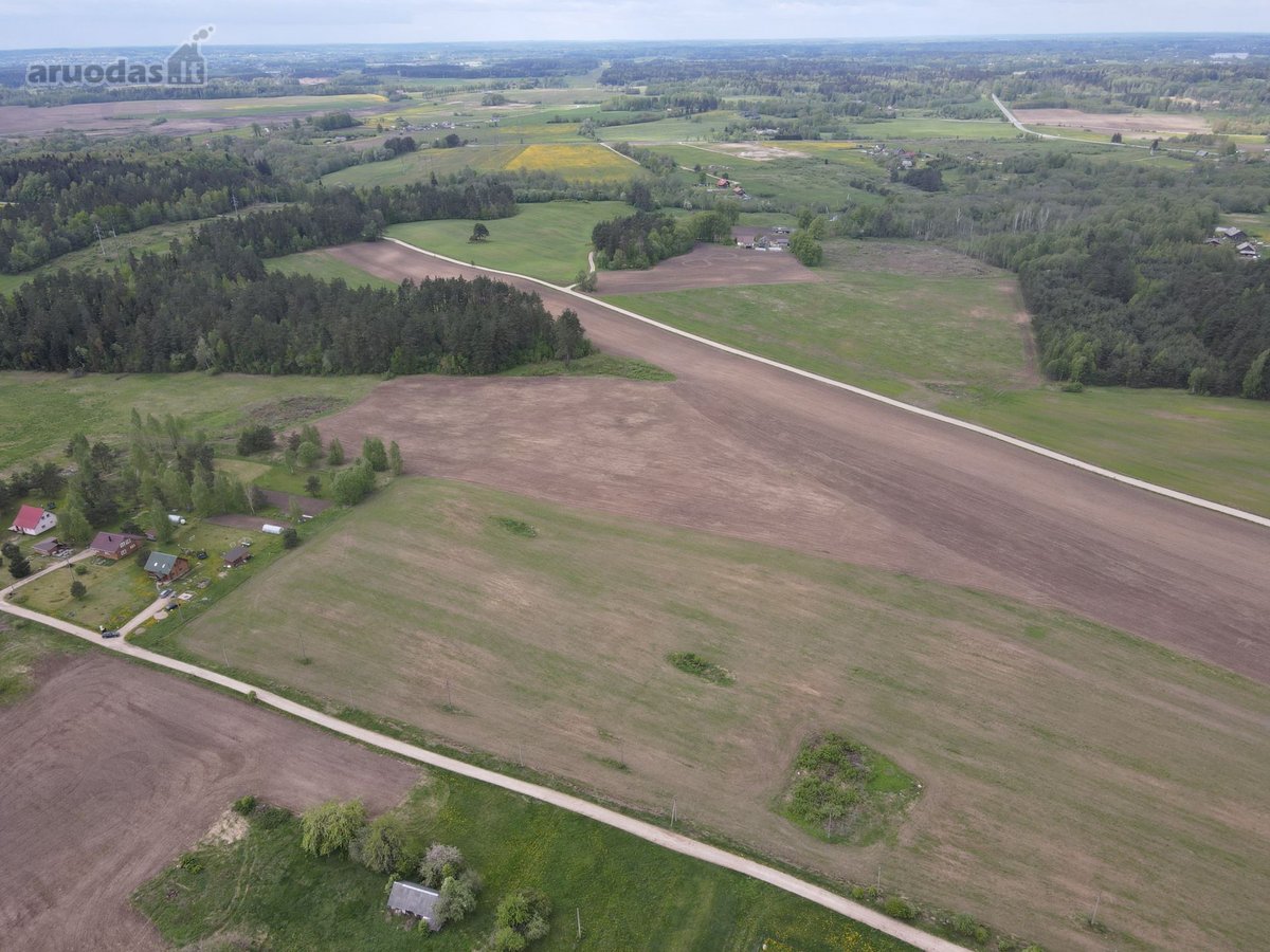 61,4757 Ha Žemės Sklypas Vilnaius R.sav., - nuotraukos Nr. 5