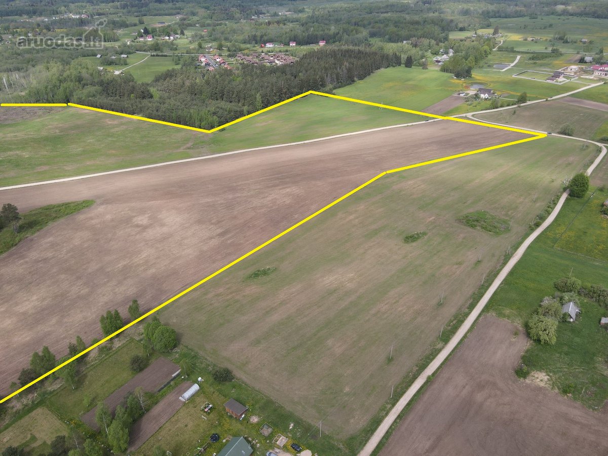 61,4757 Ha Žemės Sklypas Vilnaius R.sav., - nuotraukos Nr. 11