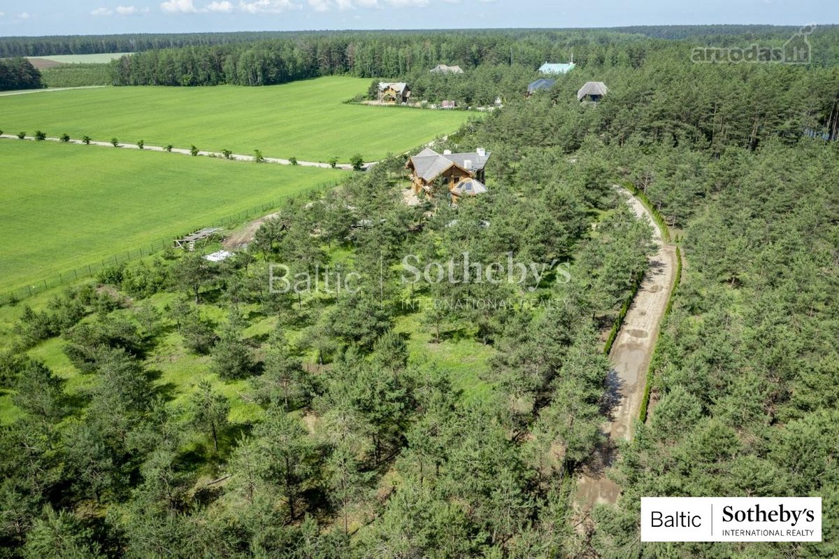 Puikaus sklypo ar sodybos beieškantiems - nuotraukos Nr. 4