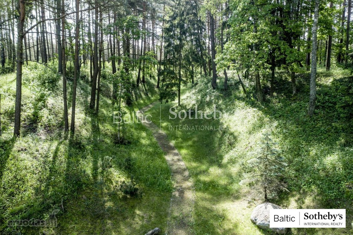 Puikaus sklypo ar sodybos beieškantiems - nuotraukos Nr. 12