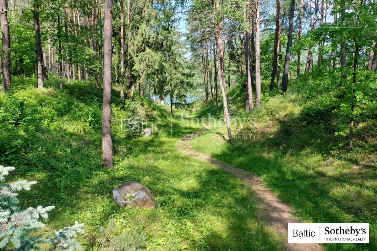 Puikaus sklypo ar sodybos beieškantiems - nuotraukos Nr. 13