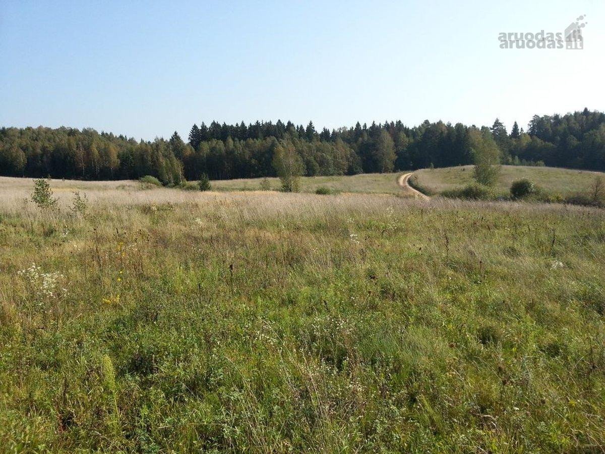 1,7618 ha sklypas Vabalių k. su galiojančiu - nuotraukos Nr. 4