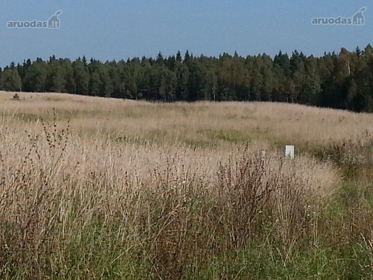 1,7618 ha sklypas Vabalių k. su galiojančiu - nuotraukos Nr. 2