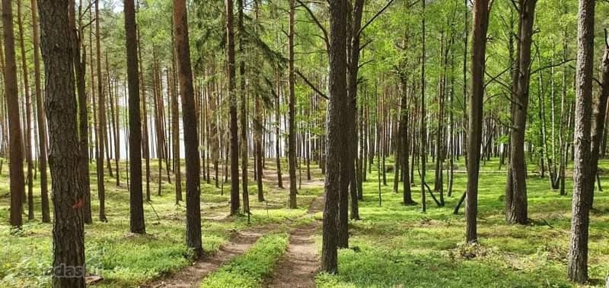 Bendra gyvenvietės teritorija - virš 12 ha ! - nuotraukos Nr. 15