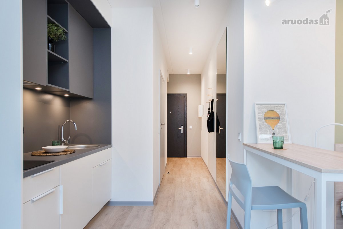 Studio tipo apartamentai: - nuotraukos Nr. 4
