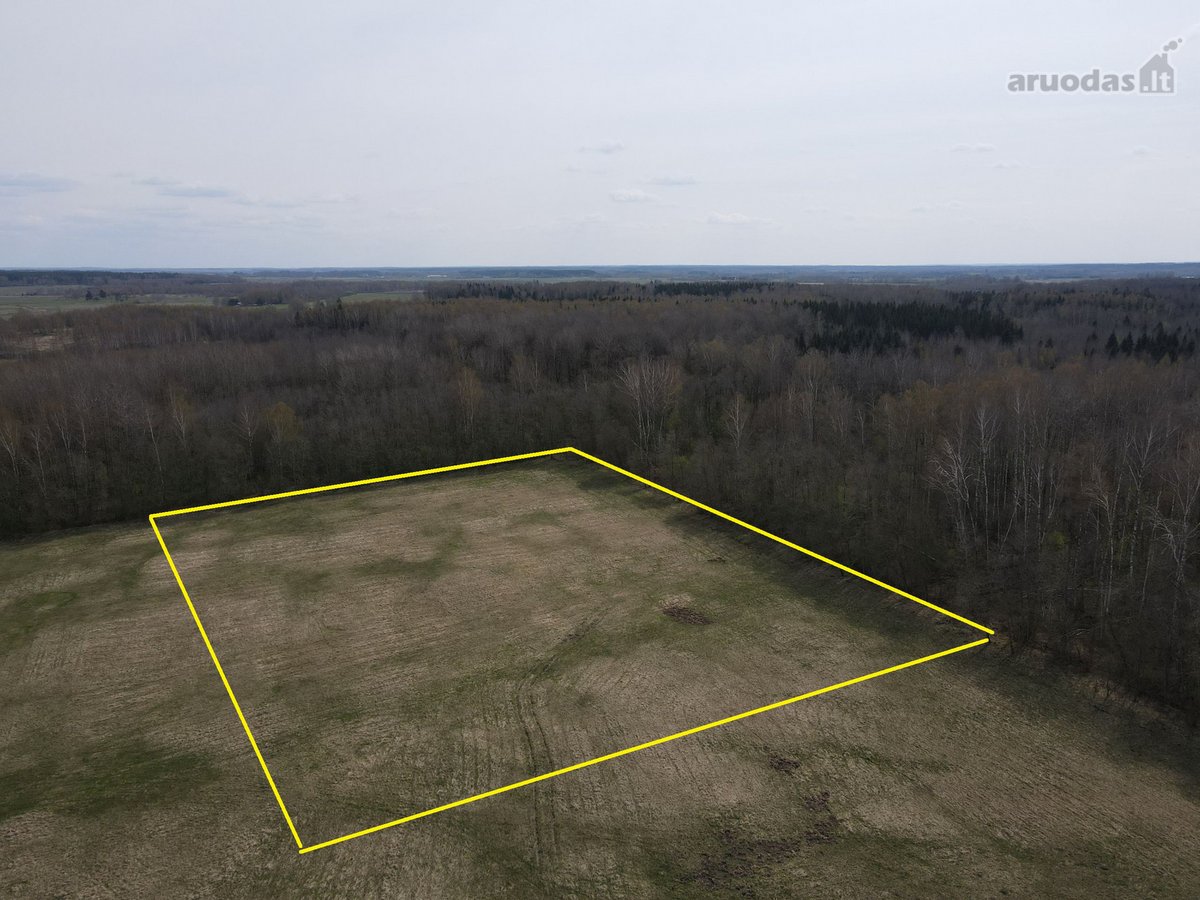 0.25 Ha Žemės Sklypas Širvintų R. Sav., - nuotraukos Nr. 7