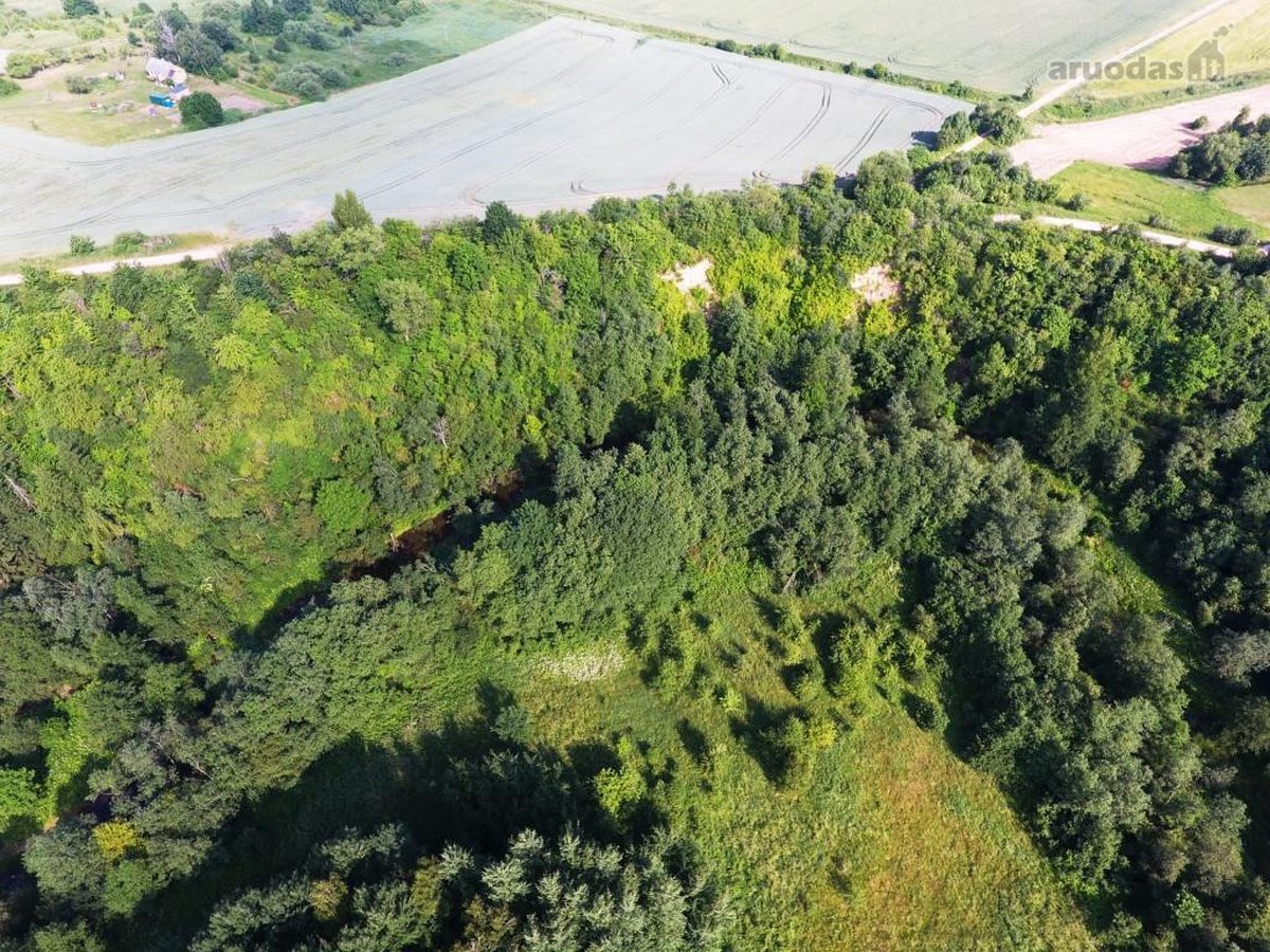 Parduodami du žemės ūkio paskirties žemės - nuotraukos Nr. 2