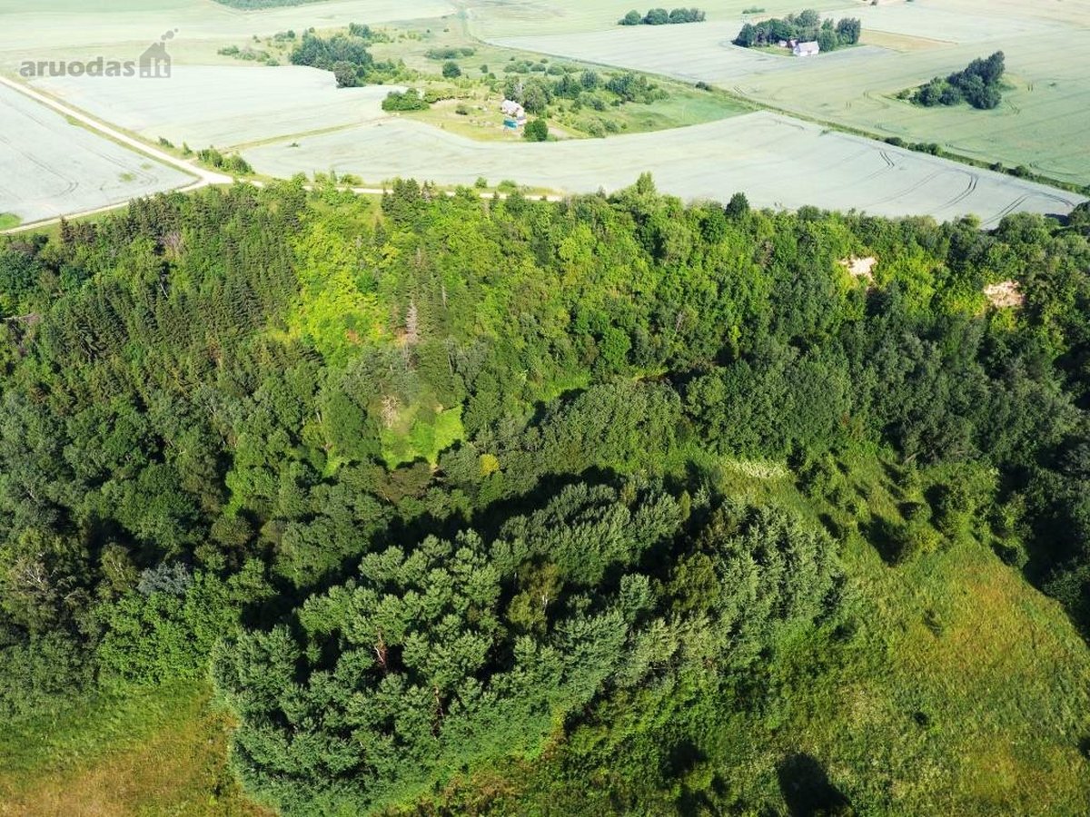 Parduodami du žemės ūkio paskirties žemės - nuotraukos Nr. 5