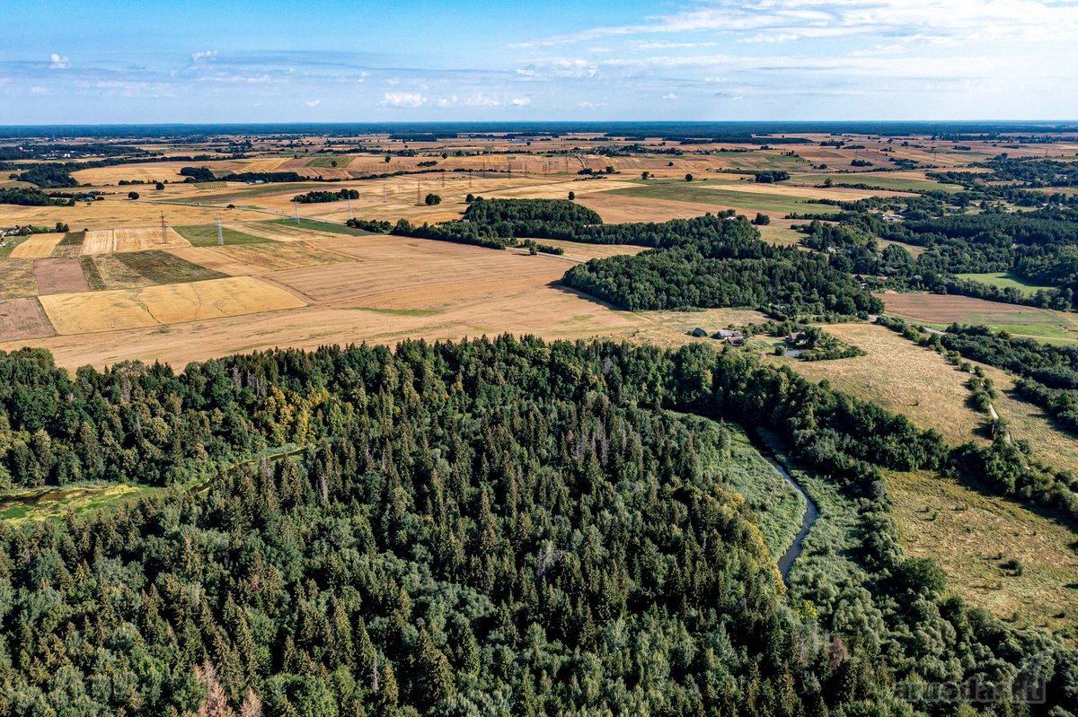 Parduodamas 30 Ha Žemės Sklypas - nuotraukos Nr. 4