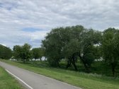 2 kambarių pilnai įrengta studija ant Nemuno - nuotraukos Nr. 30
