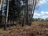 Parduodami 5 namų valdos sklypai po 15arų. - nuotraukos Nr. 23