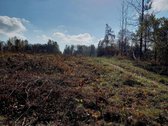 Parduodami 5 namų valdos sklypai po 15arų. - nuotraukos Nr. 21