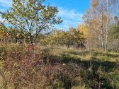 Parduodamas zemes sklypas ypatingoje vietoje. - nuotraukos Nr. 10