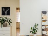 Nuomojamas 3 kambarių butas gamtos apsuptyje, - nuotraukos Nr. 14