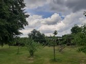 Parduodama sodyba 25a. Tytuvėnų m., - nuotraukos Nr. 5