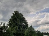 Parduodama sodyba 25a. Tytuvėnų m., - nuotraukos Nr. 7