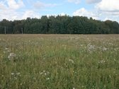 Parduodamas žemės ūkio paskirties sklypas. 