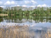 Parduodu 25,9 arų žemės sklypą Linkmenų - nuotraukos Nr. 2