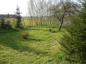 ? Parduodama Sodybos Dalis Su 3,02 Ha Sklypu - nuotraukos Nr. 2