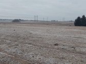 Paskirtis :žemės ūkio paskirties - nuotraukos Nr. 7