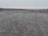 Paskirtis :žemės ūkio paskirties - nuotraukos Nr. 8