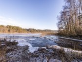 Parduodame 2,81ha ploto miškų ūkio paskirties - nuotraukos Nr. 3