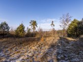 Parduodame 2,81ha ploto miškų ūkio paskirties - nuotraukos Nr. 5
