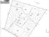 Parduodame 2,81ha ploto miškų ūkio paskirties - nuotraukos Nr. 8