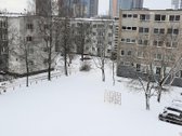 Išnuomojamas šviesus, jaukus, tvarkingas - nuotraukos Nr. 7