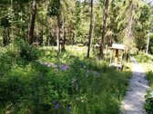 Parduodamas 6,14 ha žemės ūkio paskirties - nuotraukos Nr. 2