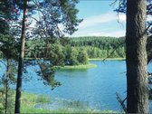 Parduodamas 6,14 ha žemės ūkio paskirties